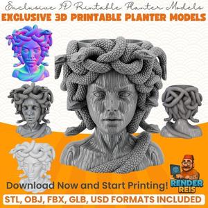 Medusa Head Planter Mythological and Artistic 3D Print Object