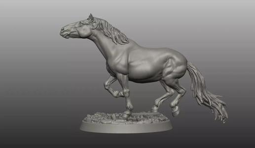 Horse pose 04