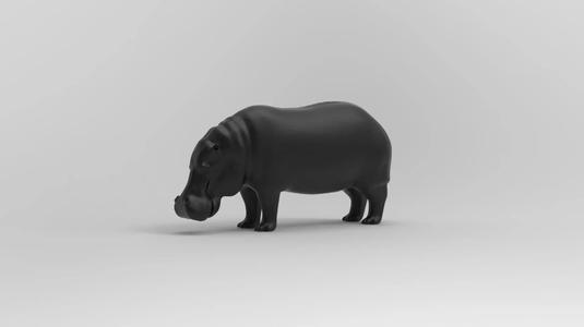Hippopo