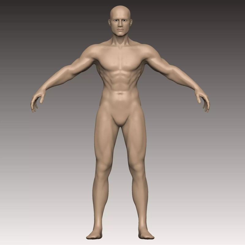 T POSE - base body man - cuerpo base hombre