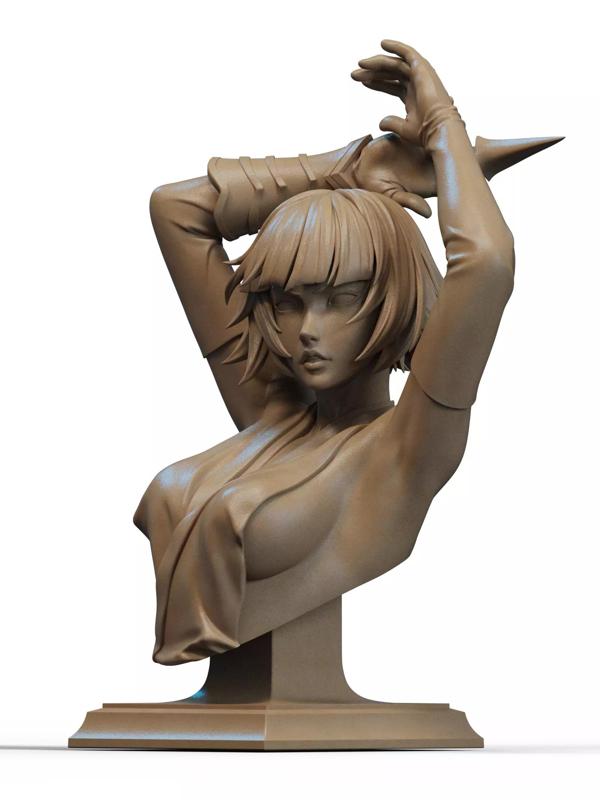 Soi Fon Bust 3D Print