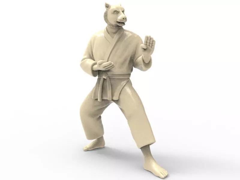 Tiger Kokutsu Dachi Stance