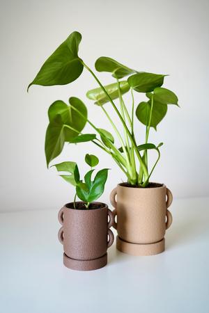 UCHO planter