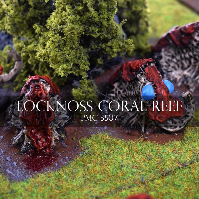 Locknoss Coral-Reef