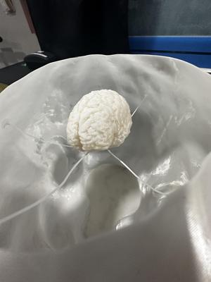 Split brain for printing