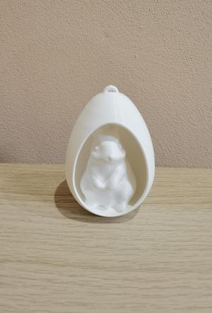 Bunny in the egg