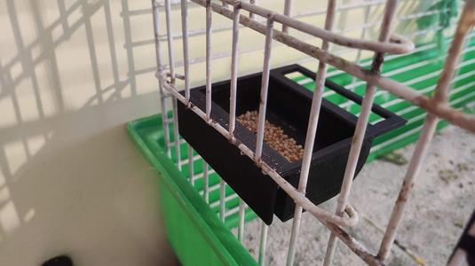 Seed feeder for birds