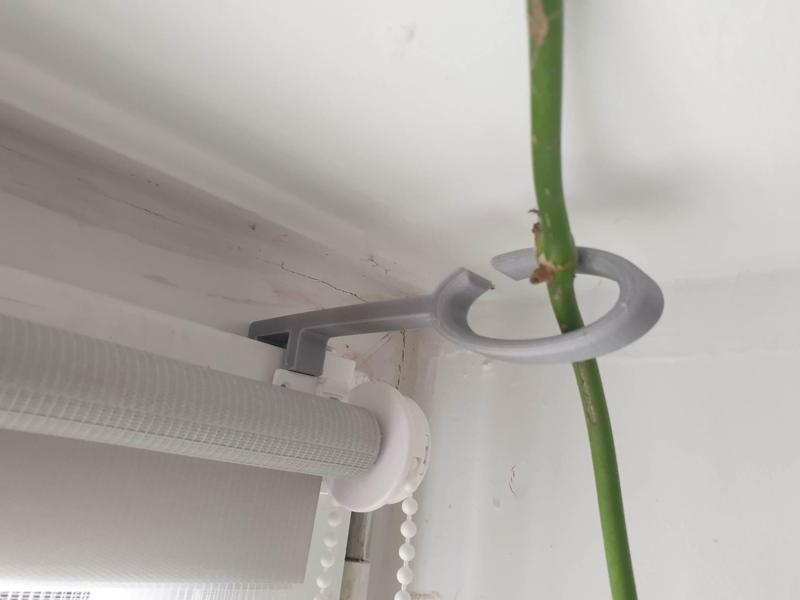 flower holder on the window