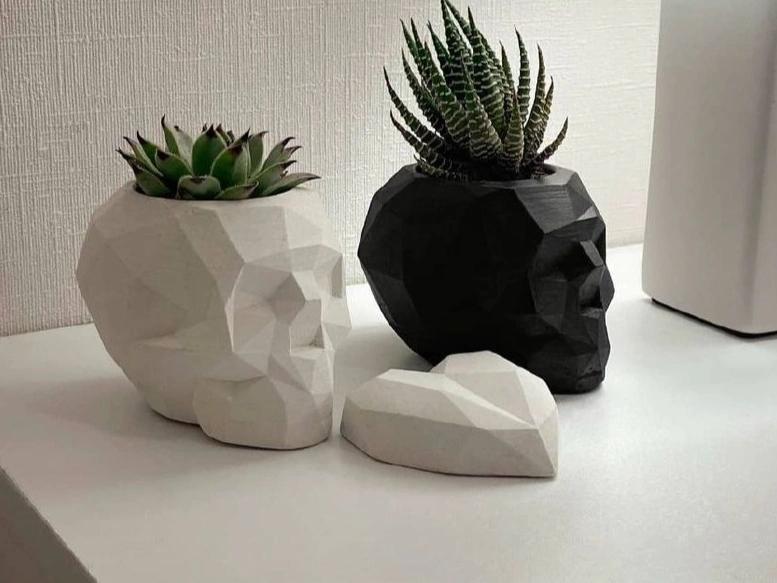 Skull flower pot