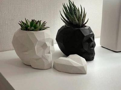 Skull flower pot