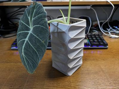Arrows Shape-Foliage Plant Pot Design