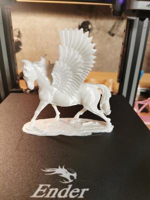 Pegasus
