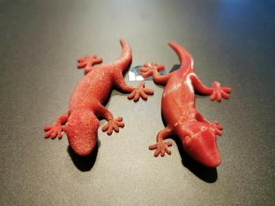Gecko Magnet 2x 5mmx1mm