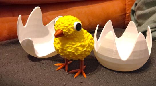 hatched chicken with egg