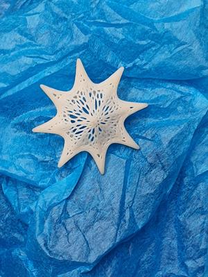 Estrella Voronoi