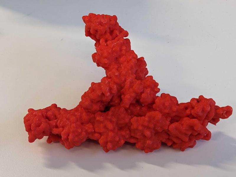 Branched Actin with Arp2/3 complex