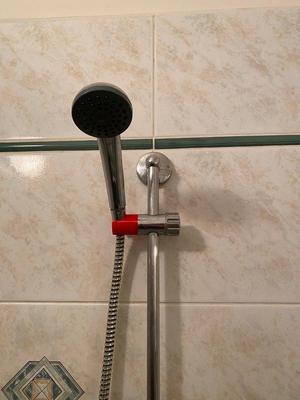 Shower holder