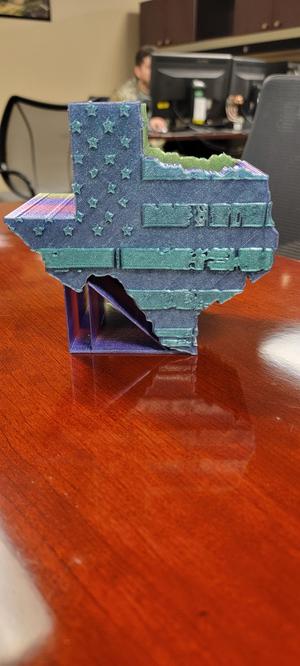 Texas Pen Holder