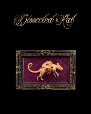 Dissected Rat