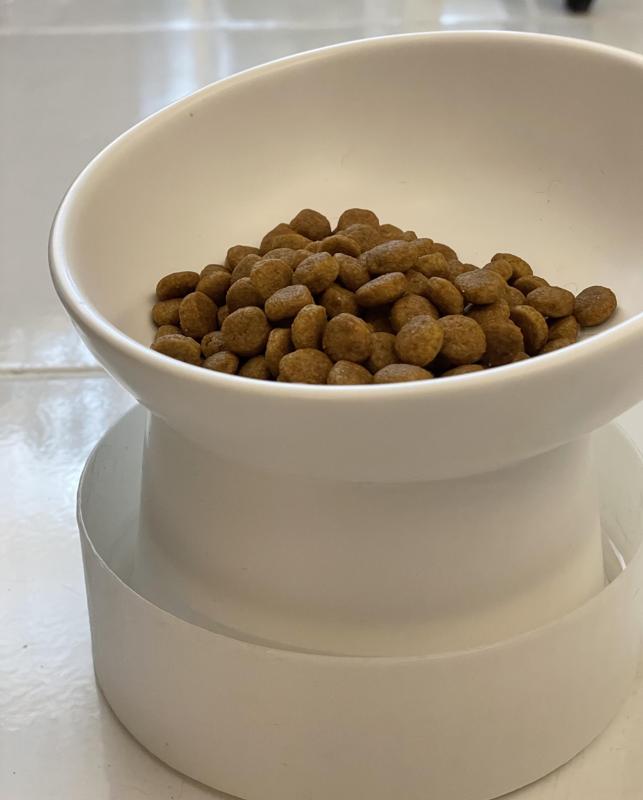 Elevated Cat Bowl Water Moat