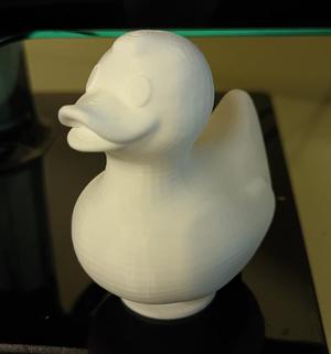 Ducky Head