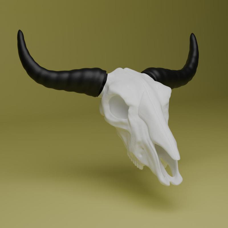 Bull Skull (MysticMesh3D)