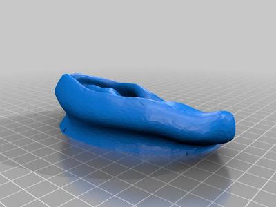 Ear rock climbing hold