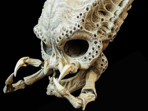 SKULL PREDATOR HEAD