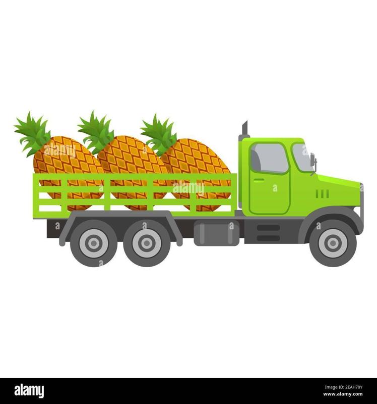 Detailed astral guardian grenade launcher