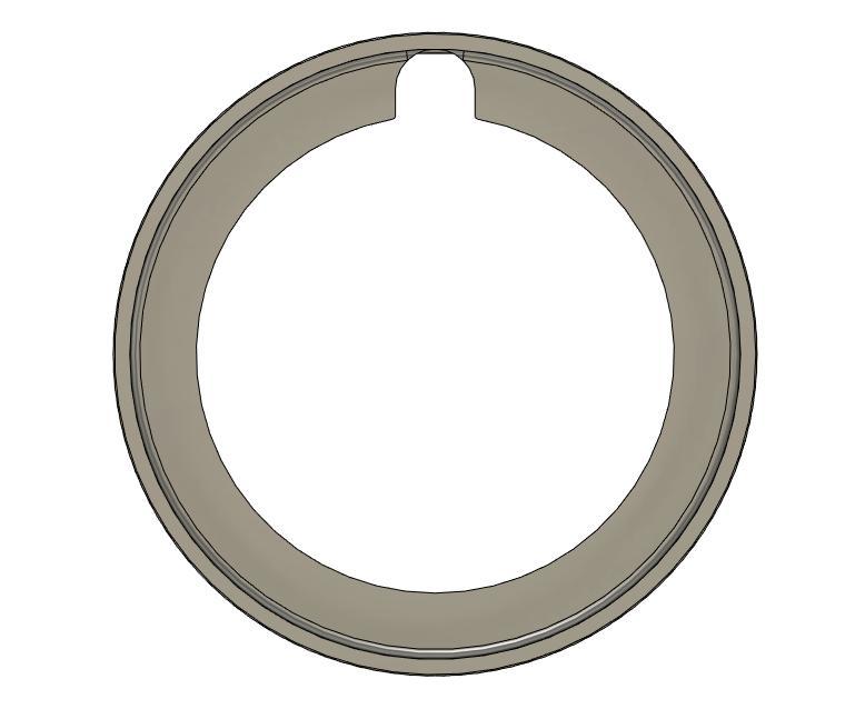 Early style AR slip ring (delta ring)