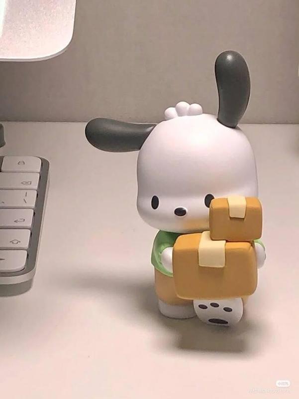 Pochacco Delivery Person