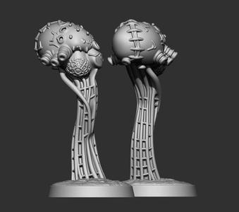 TERRAIN