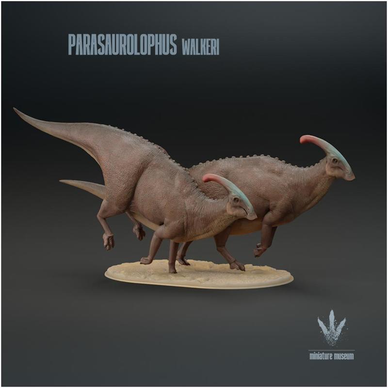 Parasaurolophus walkeri  : Run