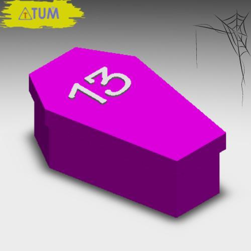 Coffin Box no.13