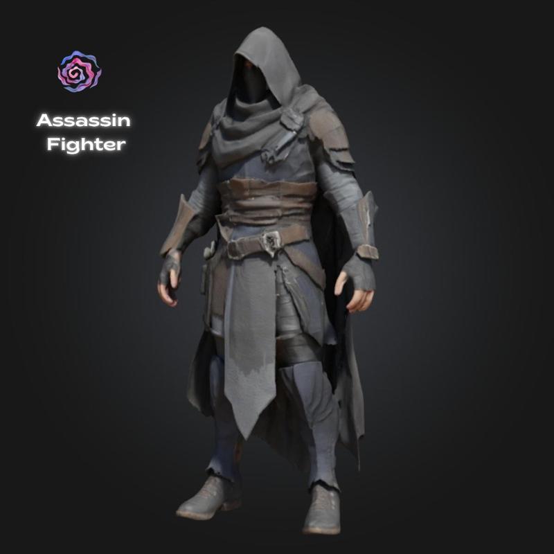 Assassin Fighter