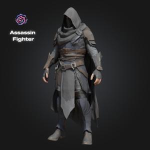 Assassin Fighter