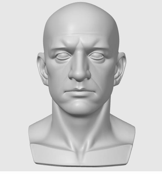 Realistic bust of a man human head