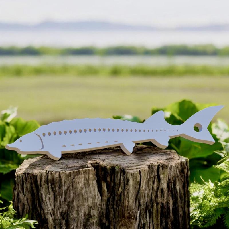 fish beluga / sturgeon / huso huso fish 2d keychain / pendant