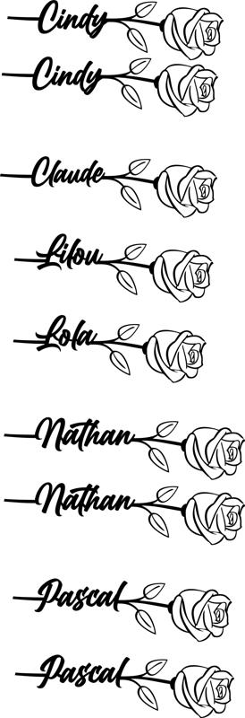 rose Claude ,Cindy ,Lilou, Lola ,Nathan, Pascal