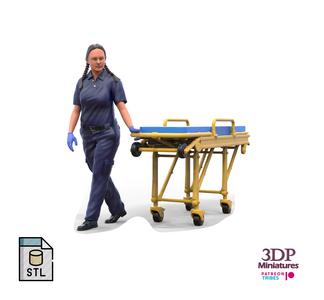 N2 paramedic emergency service with a trolley