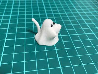 ghost cat?