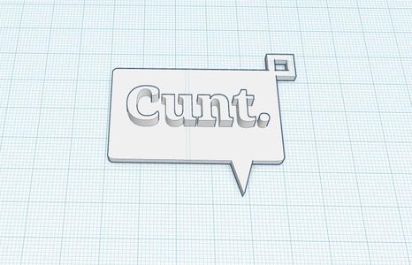 Cunt keychain
