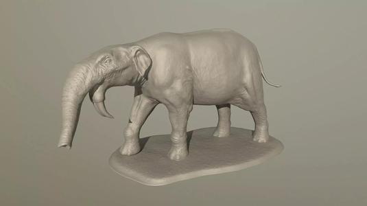 Deinotherium elephant