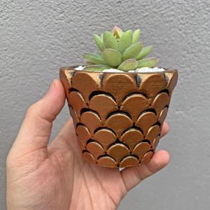 Emboss planter pot Mold - Include Pot file for print - You can make pots of any size you want for your plants