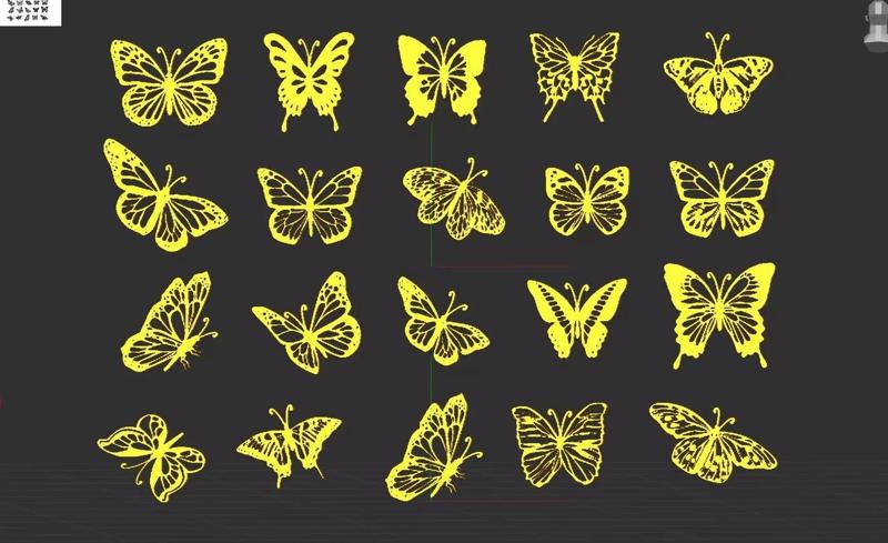 Butterfly Collection Pack