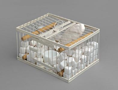 Why Not Sneeze, Rose Sélavy? An Assisted Readymade by Marcel Duchamp