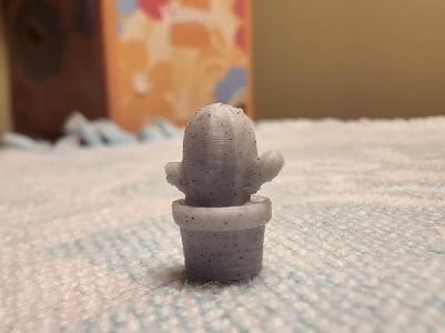 Mini Potted Cactus