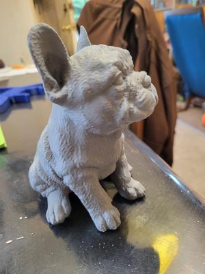 french bulldog