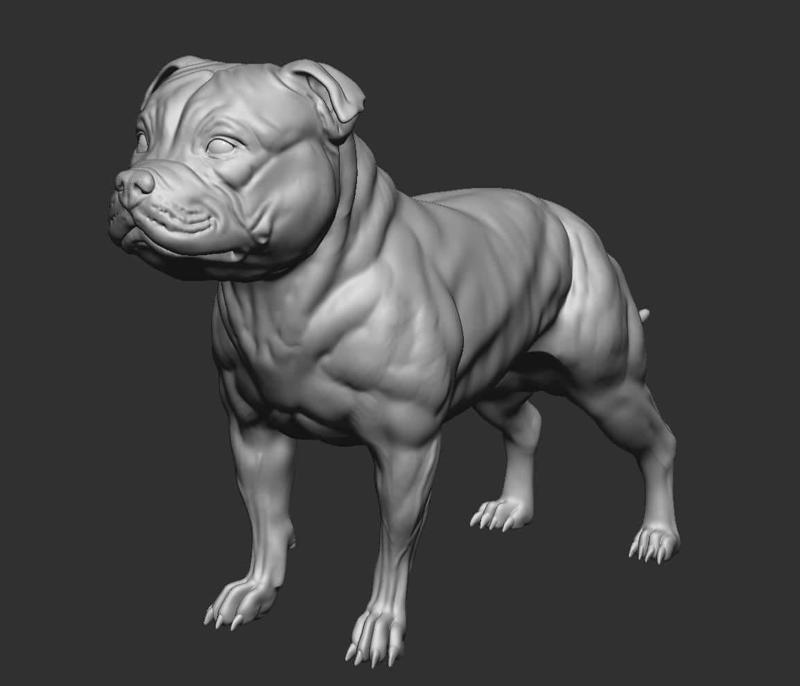 Staffordshire dog