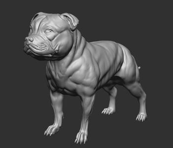 Staffordshire dog